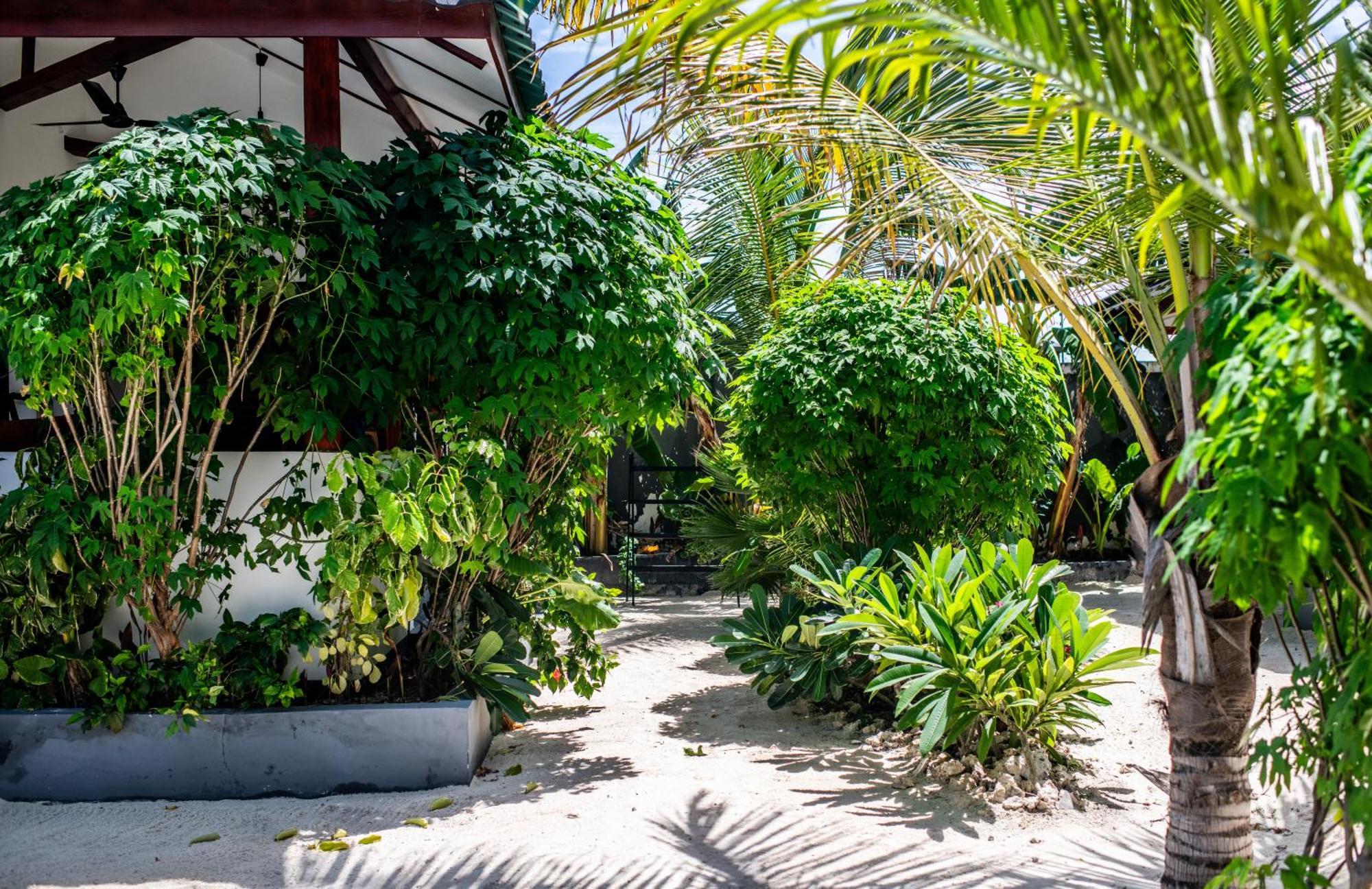 Baobab Bungalows Jambiani  Exterior foto