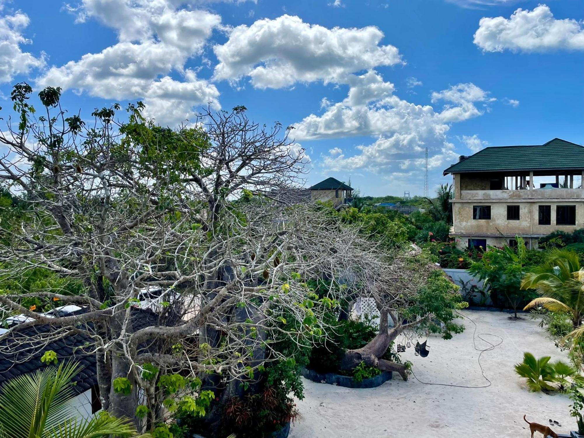 Baobab Bungalows Jambiani  Exterior foto